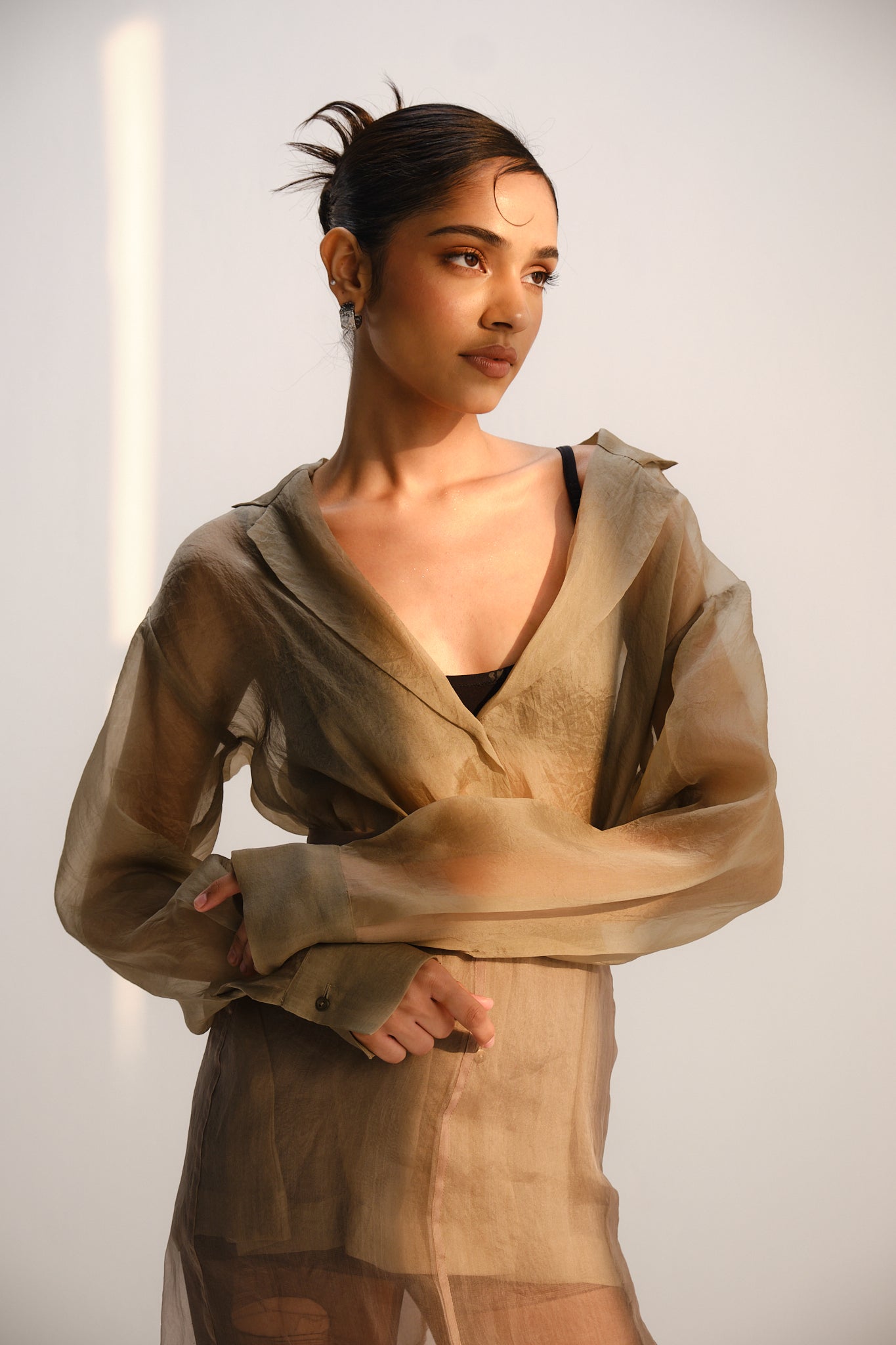 Sheer Organza Shirt | Beige