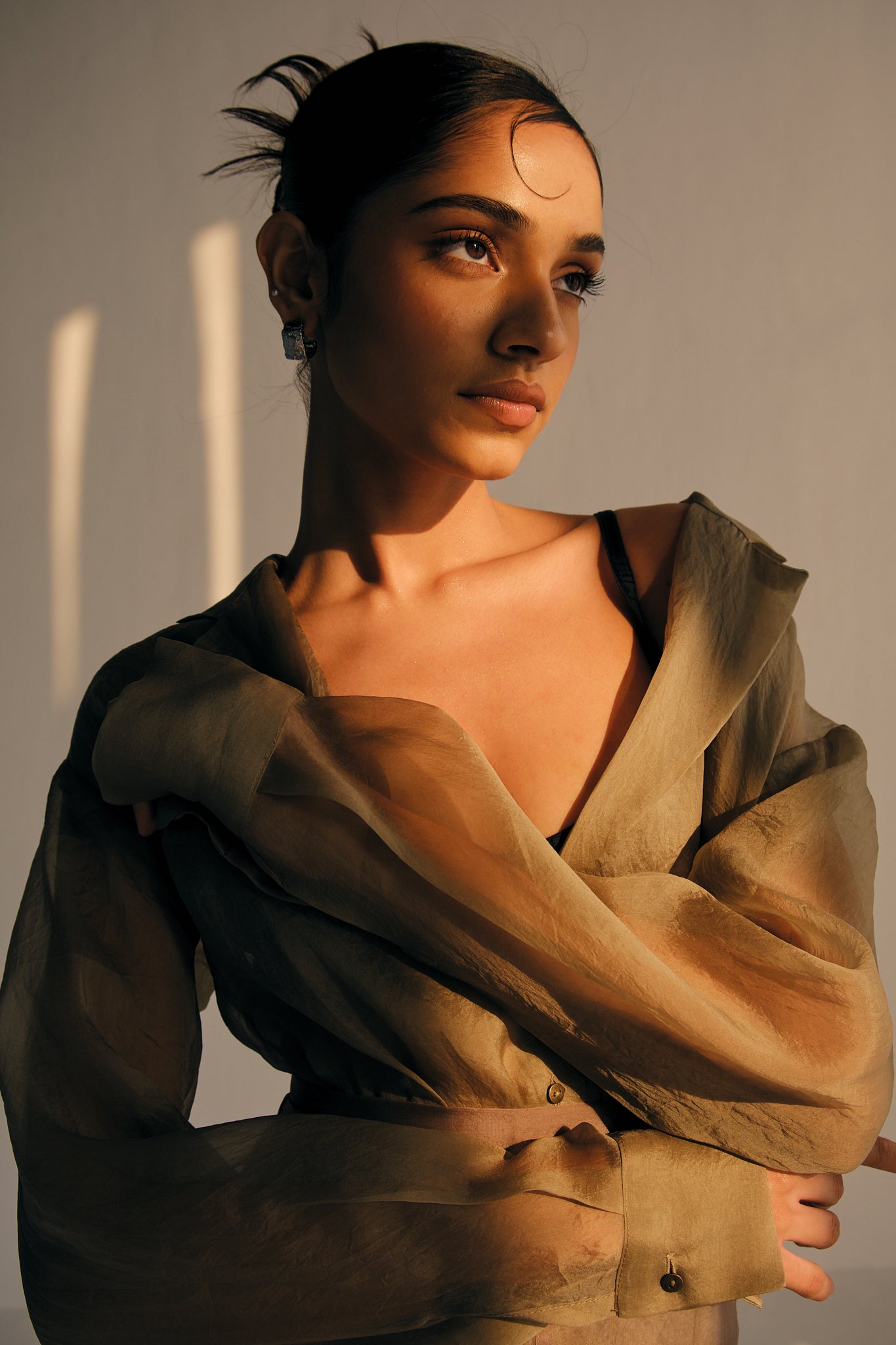 Sheer Organza Shirt | Beige