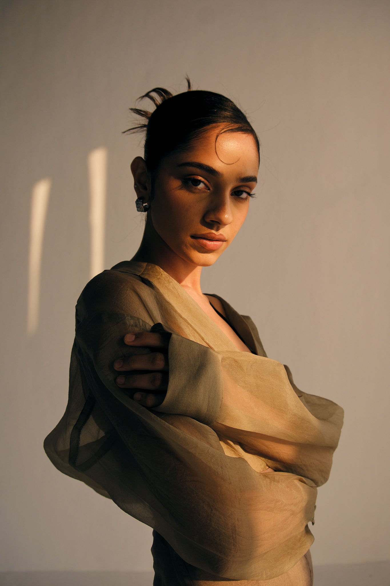 Sheer Organza Shirt | Beige