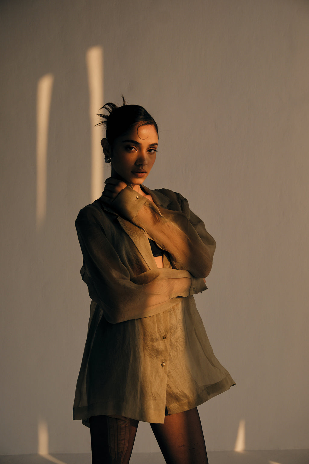 Sheer Organza Shirt | Beige